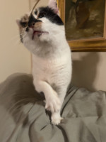 /album/265/whatsapp-image-2026-03-25-at-19-48-53-1-jpeg/